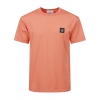 V008A Papaya